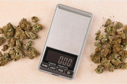 HOW MUCH IS A HALF OUNCE OF WEED? THE COMPLETE WEED PRICE BREAKDOWN