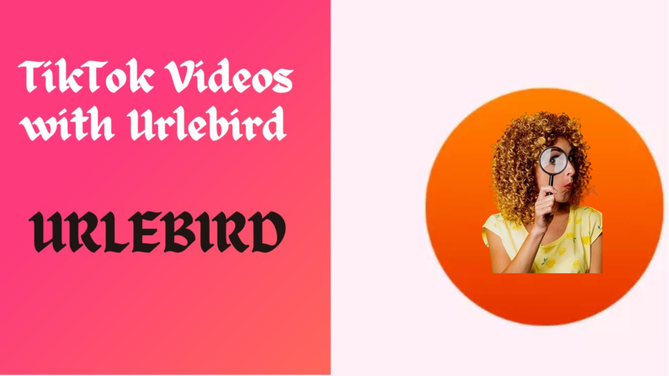 DISCOVER, SHARE & ENJOY TIKTOK VIDEOS WITH URLEBIRD